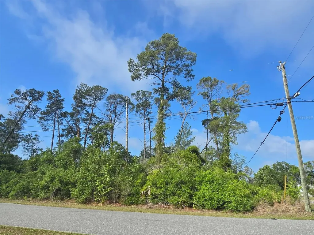 10044 Noddy Tern Road Weeki Wachee FL 34613