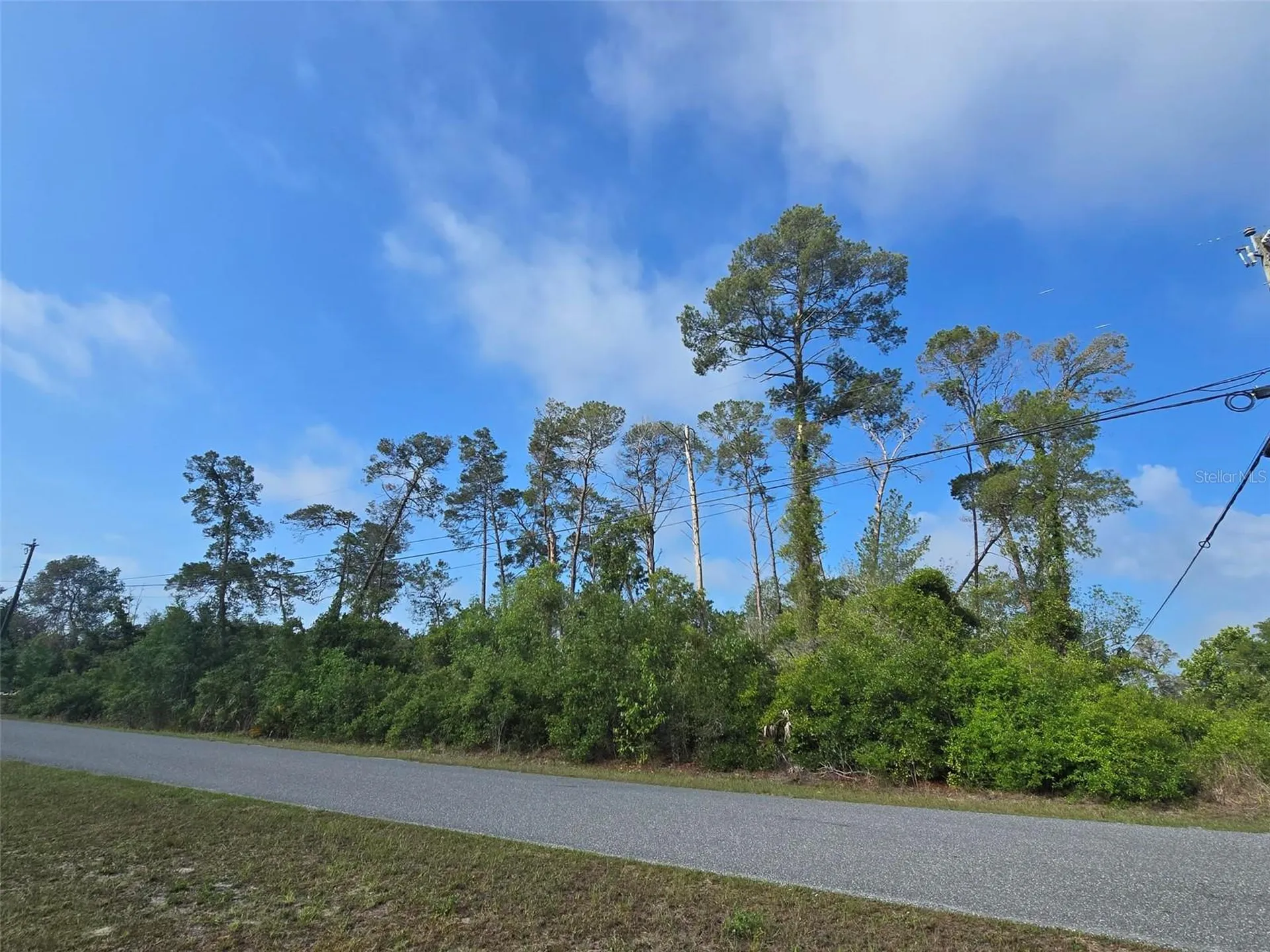 10044 Noddy Tern Road Weeki Wachee FL 34613