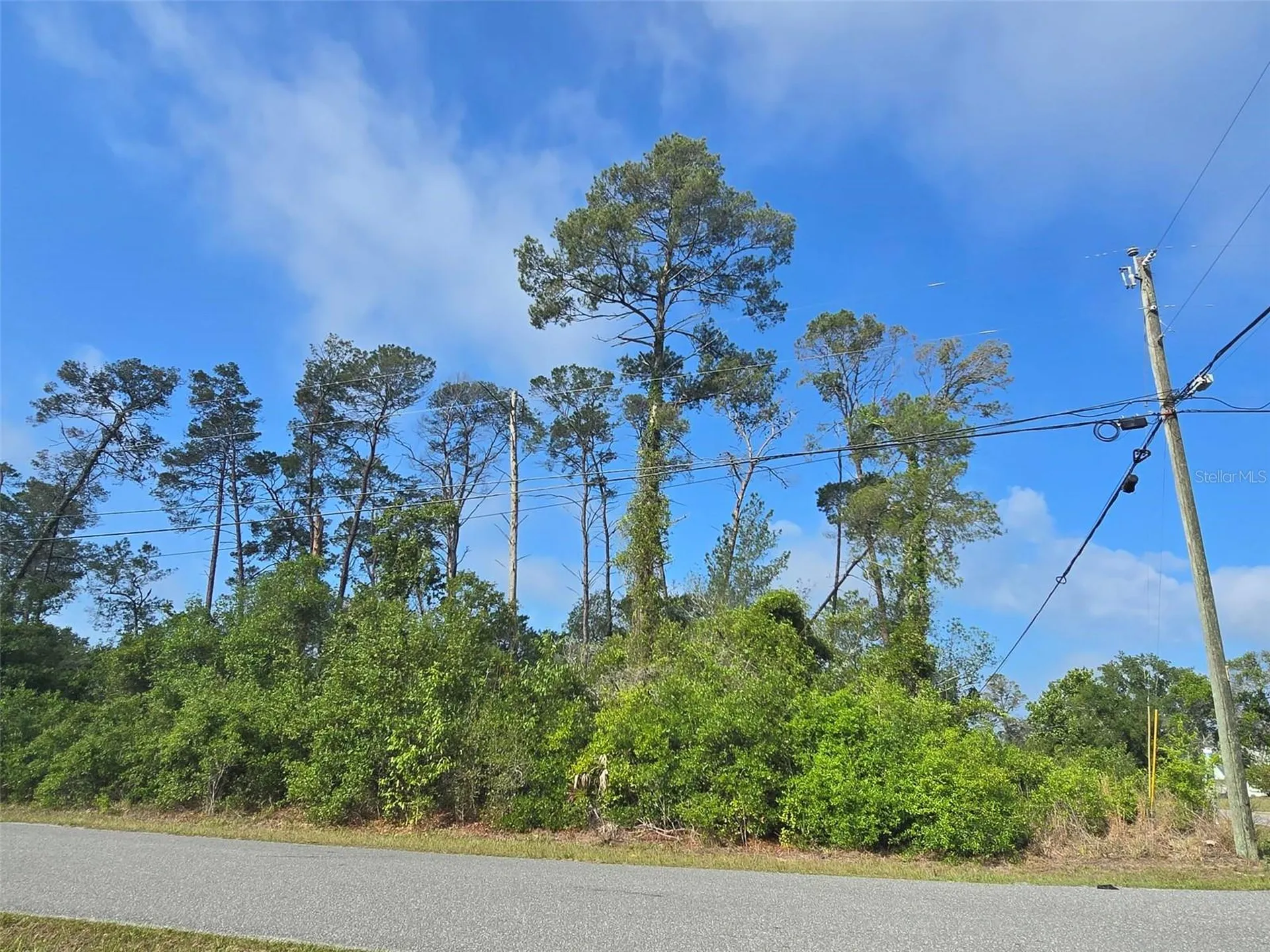 10044 Noddy Tern Road Weeki Wachee FL 34613
