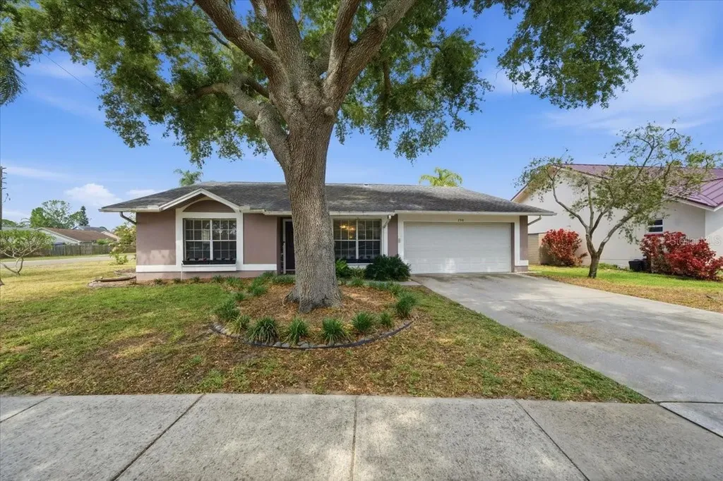 798 Countryshire Lane Palm Harbor FL 34683