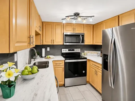 2828 Highlands Boulevard Palm Harbor FL 34684