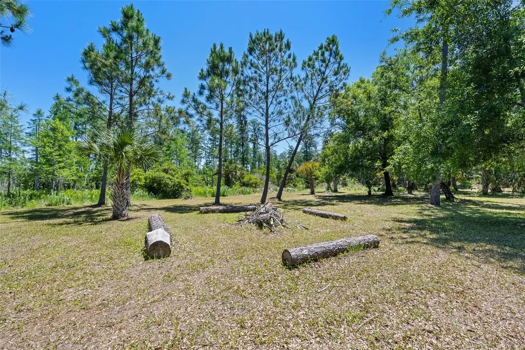 8224 Spring Forest Lane Wesley Chapel FL 33544