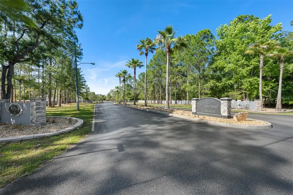 8224 Spring Forest Lane Wesley Chapel FL 33544