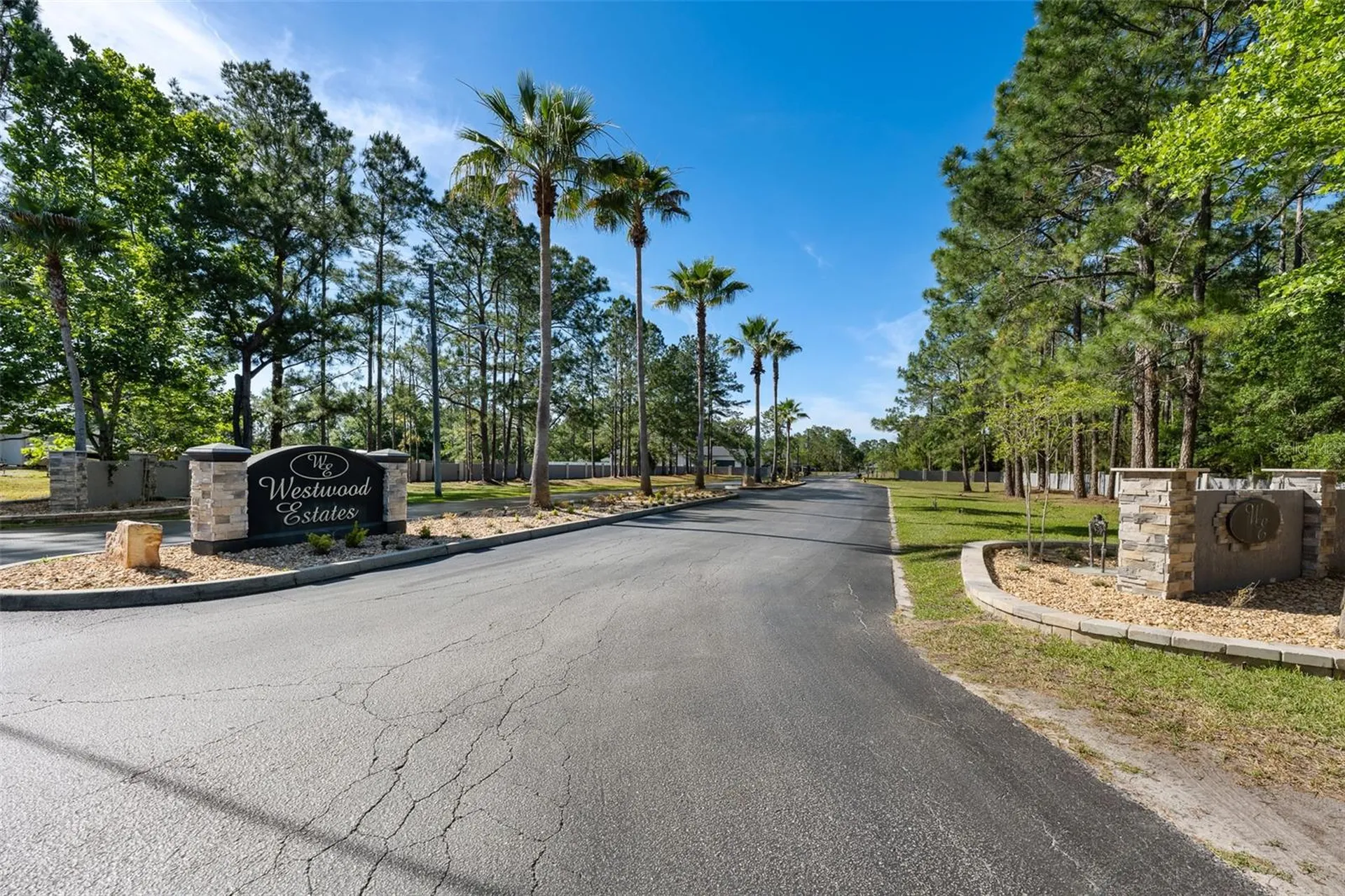 8224 Spring Forest Lane Wesley Chapel FL 33544
