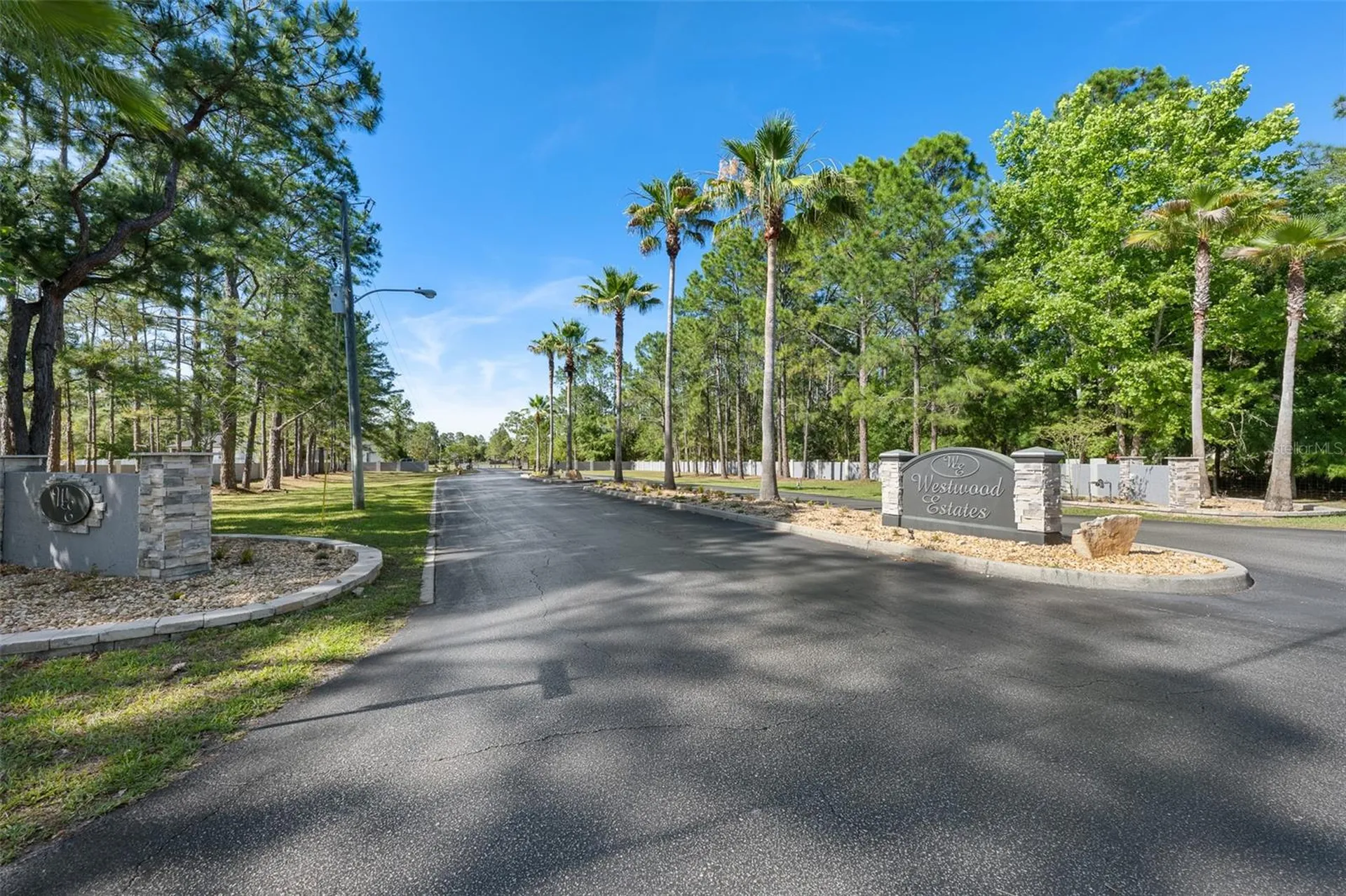 8224 Spring Forest Lane Wesley Chapel FL 33544
