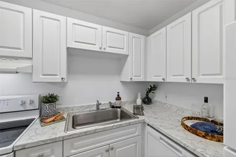 13755 Orange Sunset Drive Tampa FL 33618