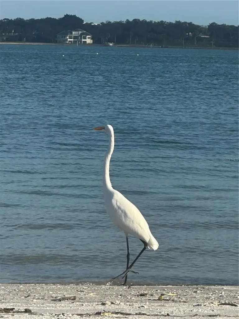 1250 Gulf Boulevard Clearwater FL 33767