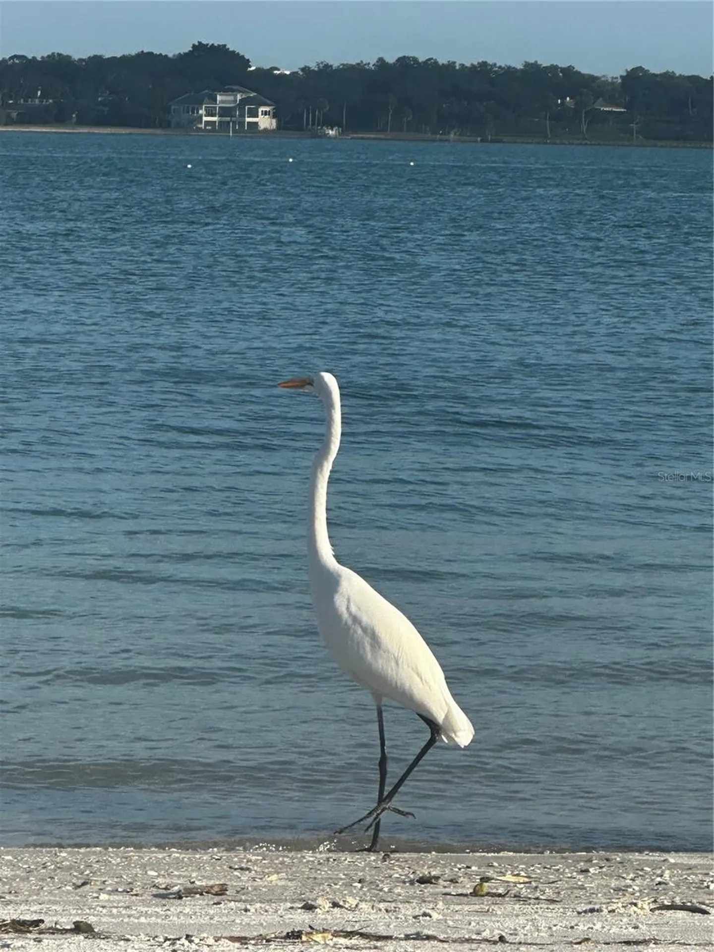 1250 Gulf Boulevard Clearwater FL 33767