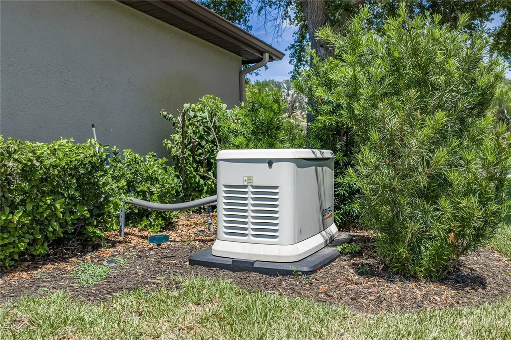 6105 Audubon Manor Boulevard Lithia FL 33547