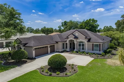 6105 Audubon Manor Boulevard Lithia FL 33547