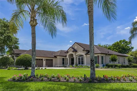 6105 Audubon Manor Boulevard Lithia FL 33547