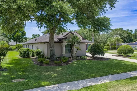 6105 Audubon Manor Boulevard Lithia FL 33547
