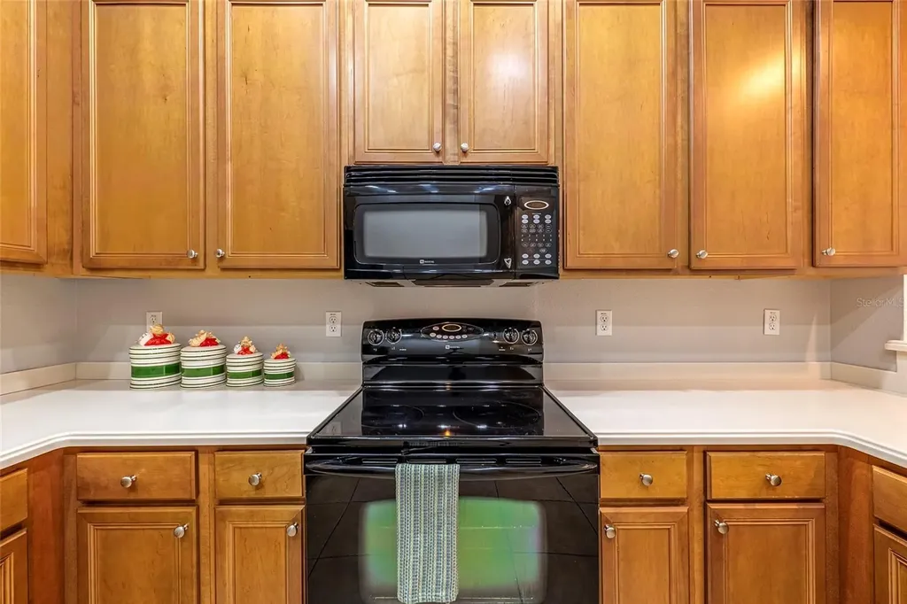 4717 Casswell Drive New Port Richey FL 34652