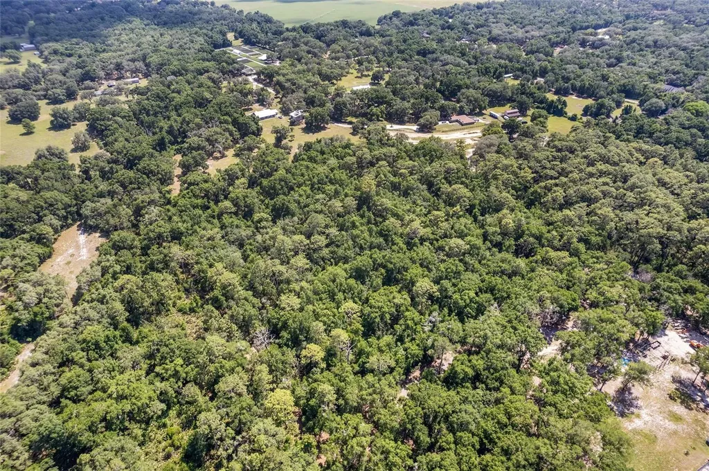 Tbd County Road 245s Oxford FL 34484