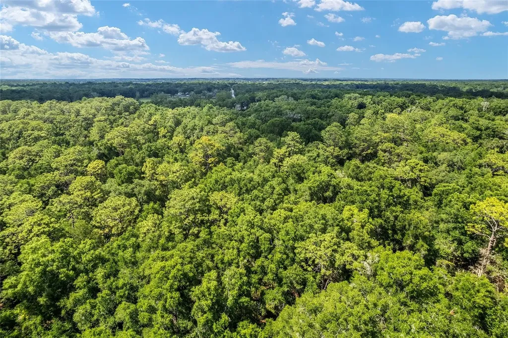 Tbd County Road 245s Oxford FL 34484