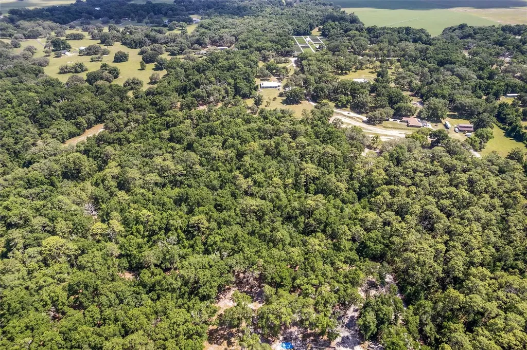 Tbd County Road 245s Oxford FL 34484