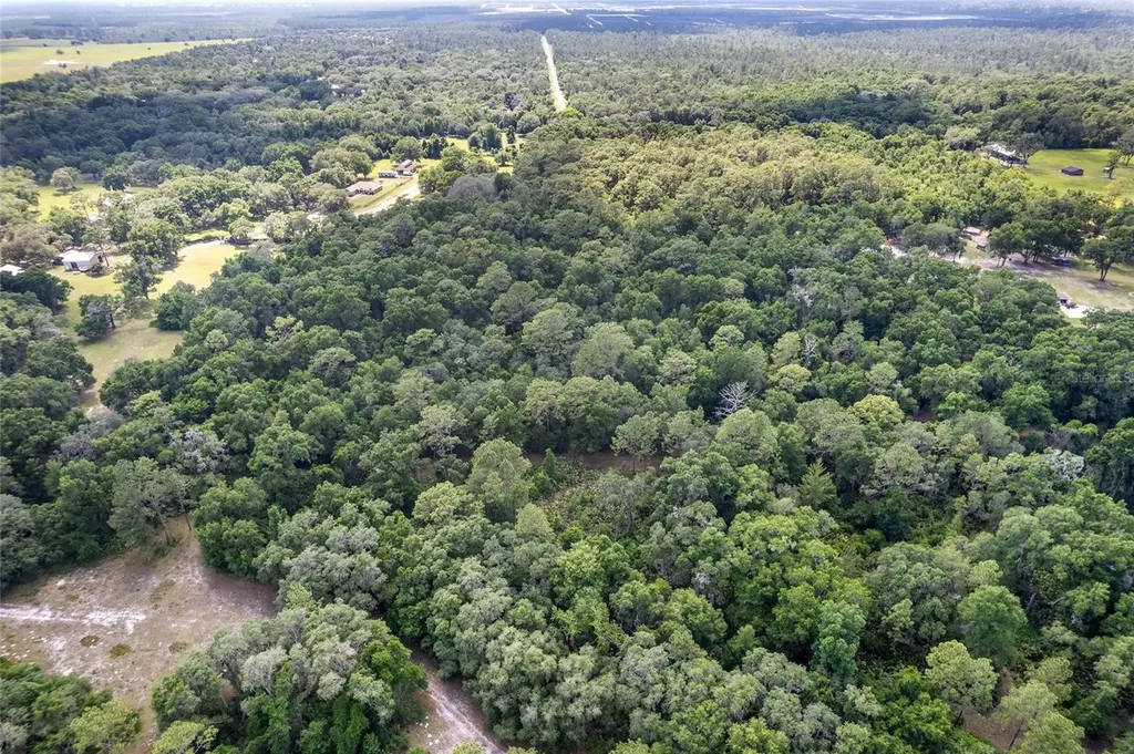 Tbd County Road 245s Oxford FL 34484