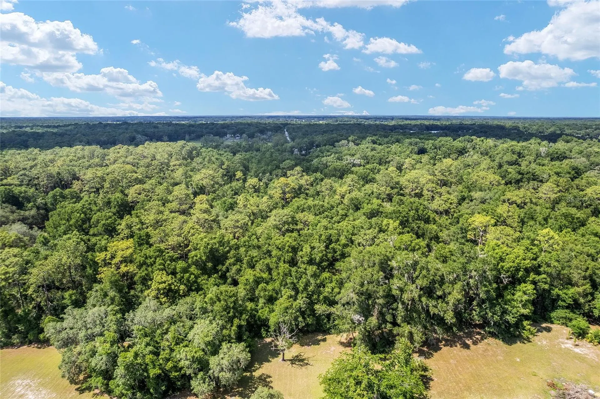 Tbd County Road 245s Oxford FL 34484