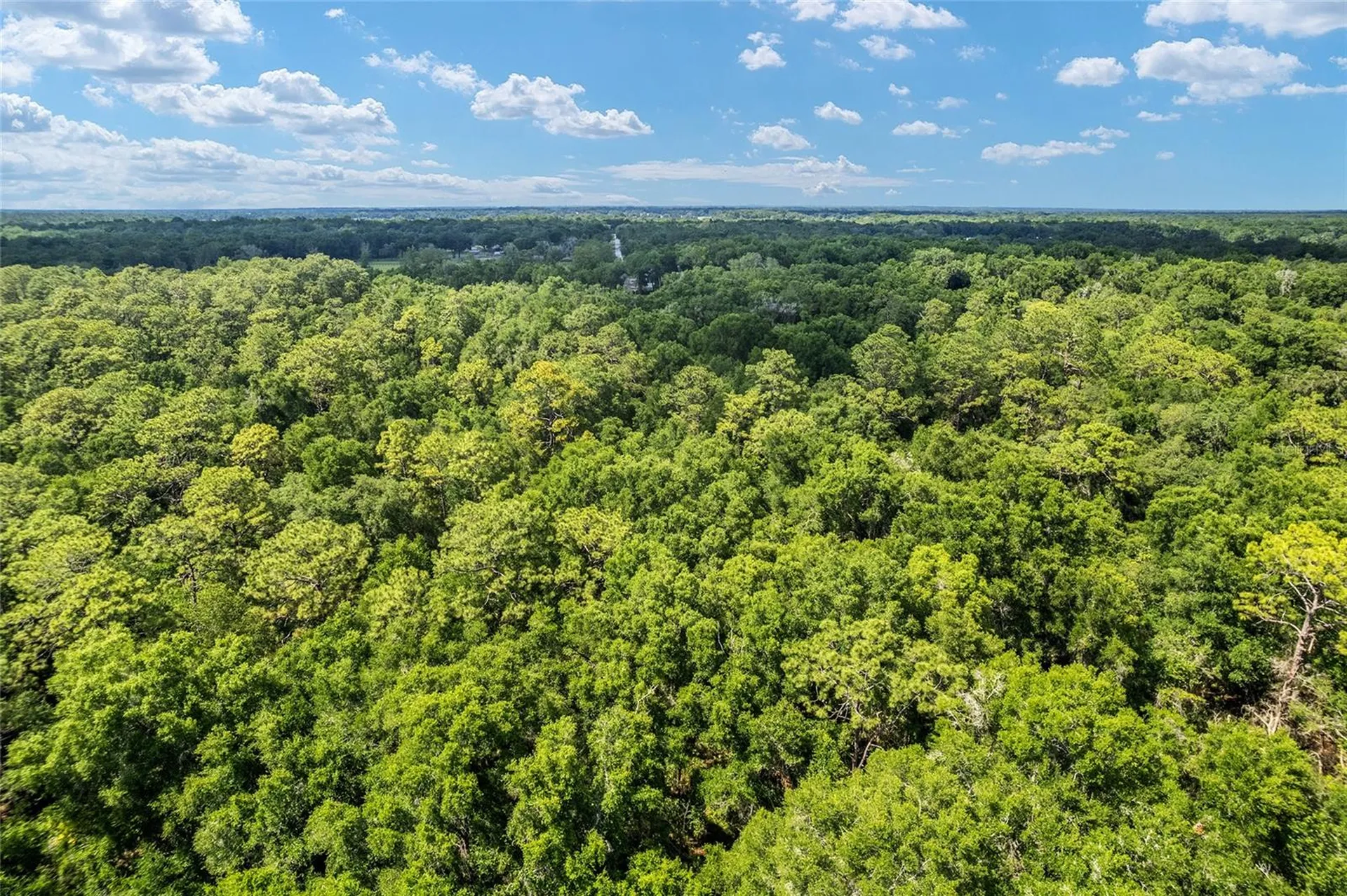 Tbd County Road 245s Oxford FL 34484