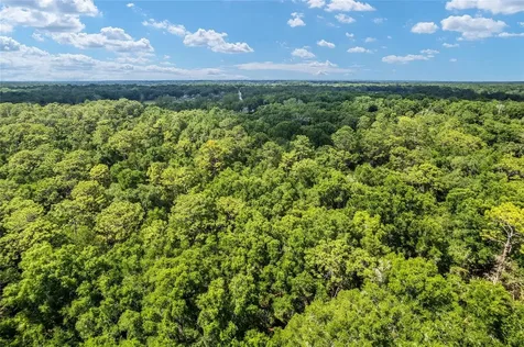 Tbd County Road 245s Oxford FL 34484