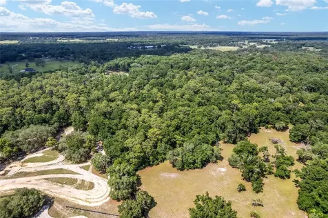 Tbd County Road 245s Oxford FL 34484