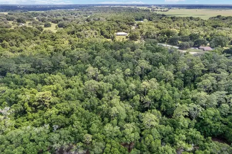 Tbd County Road 245s Oxford FL 34484