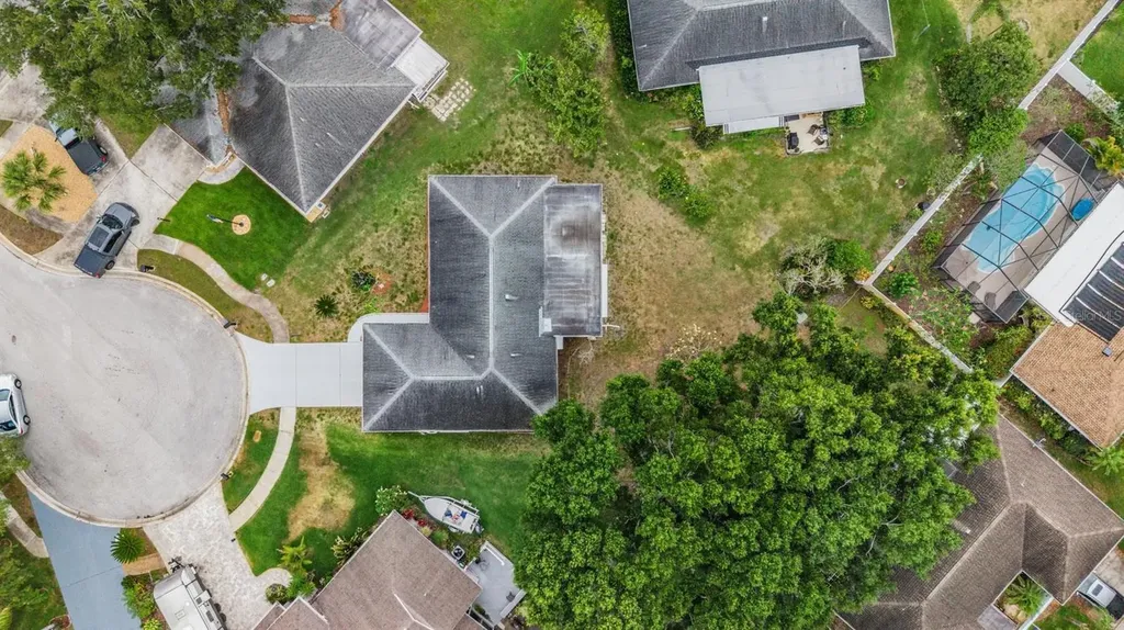 20 Shell Circle Palm Harbor FL 34684