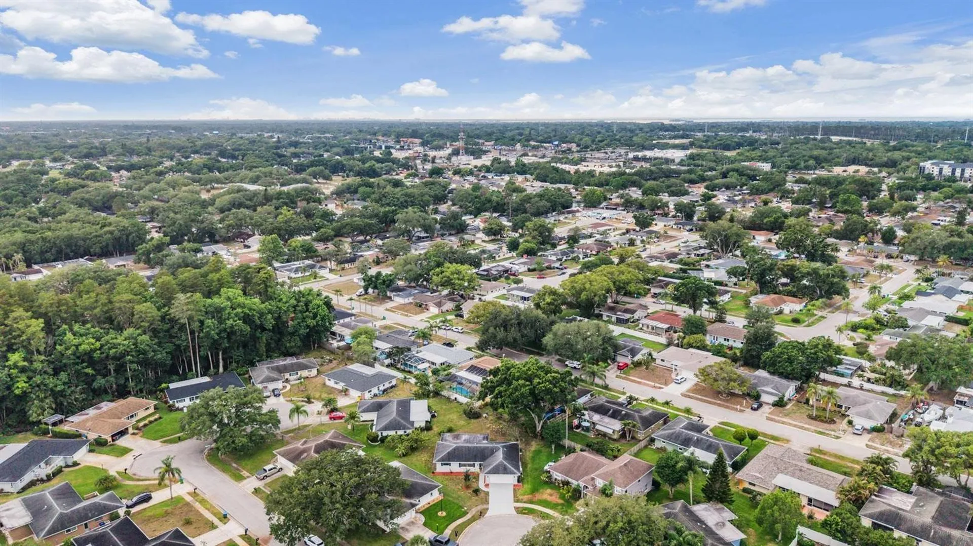 20 Shell Circle Palm Harbor FL 34684