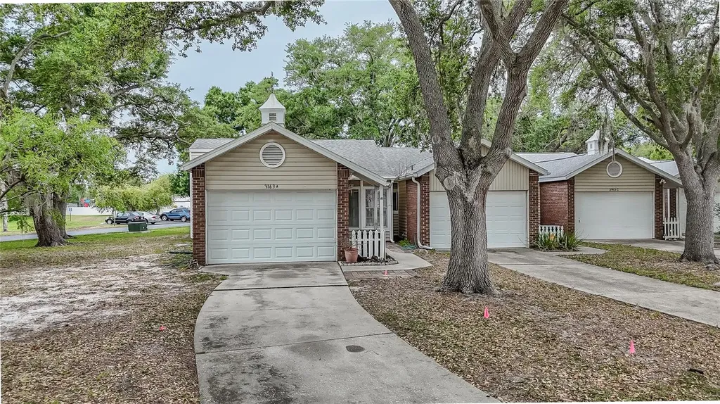3163 Claremont Place Palm Harbor FL 34683