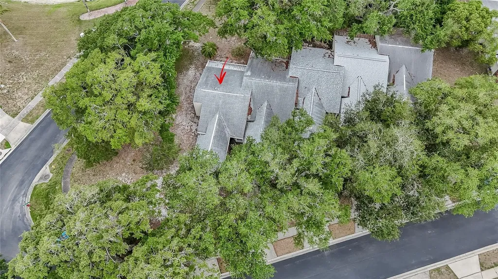 3163 Claremont Place Palm Harbor FL 34683