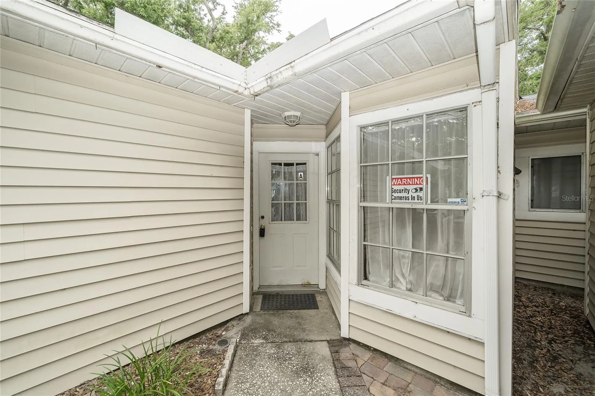 3163 Claremont Place Palm Harbor FL 34683