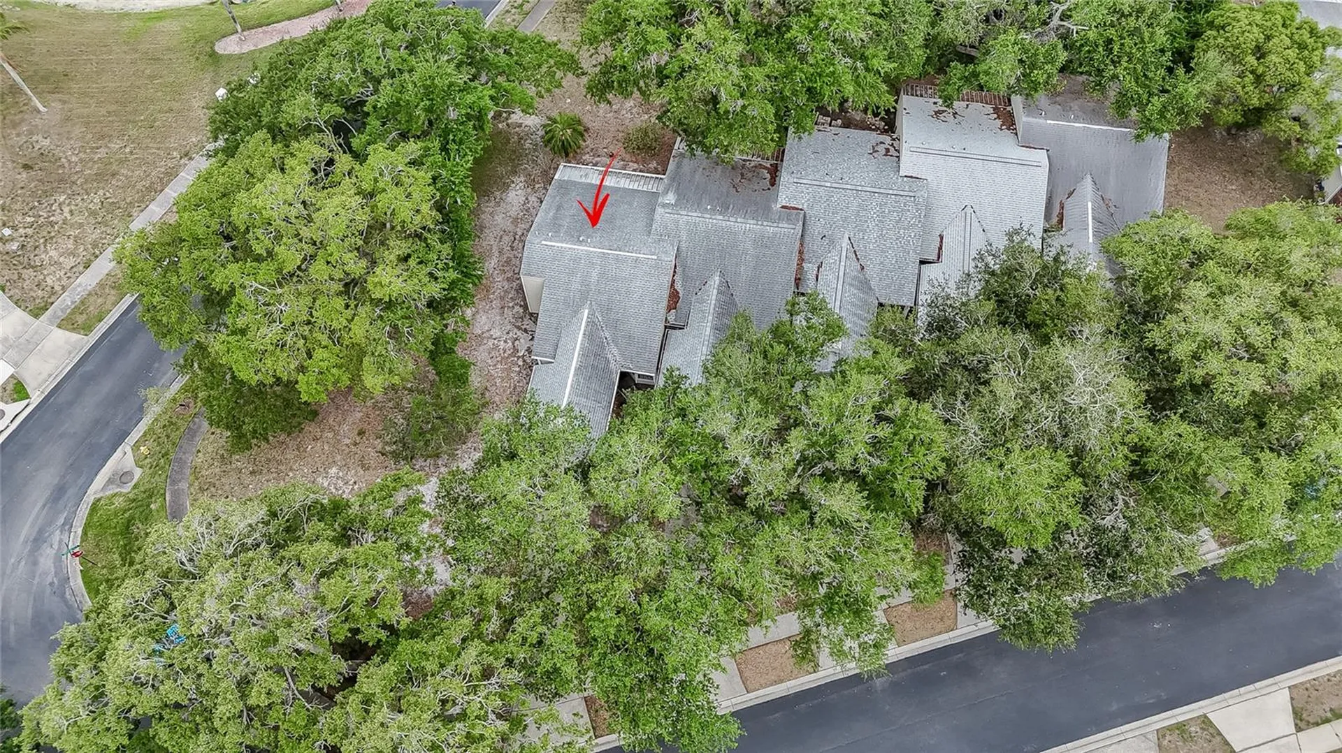 3163 Claremont Place Palm Harbor FL 34683