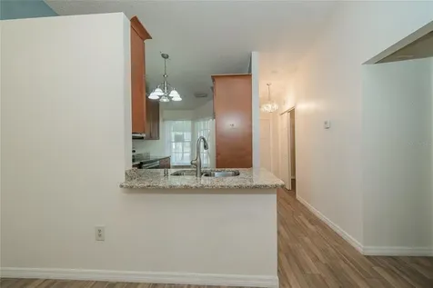 3163 Claremont Place Palm Harbor FL 34683