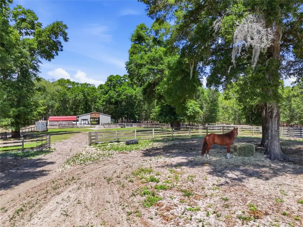 9106 SW 124th Street Archer FL 32618