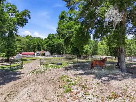 9106 SW 124th Street Archer FL 32618