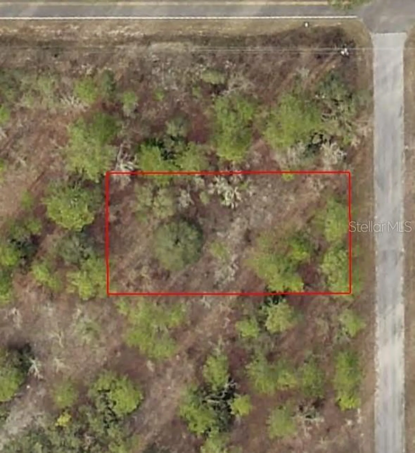 Tbd SW Temple Heights Court Dunnellon FL 34431