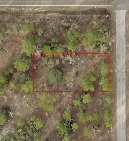 TBD SW Temple Heights Court Dunnellon FL 34431