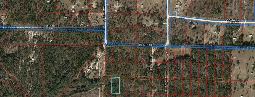 SE 60 Street Morriston FL 32668