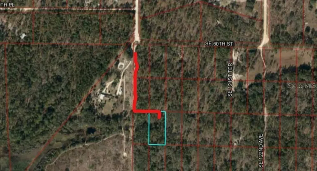 SE 60 Street Morriston FL 32668