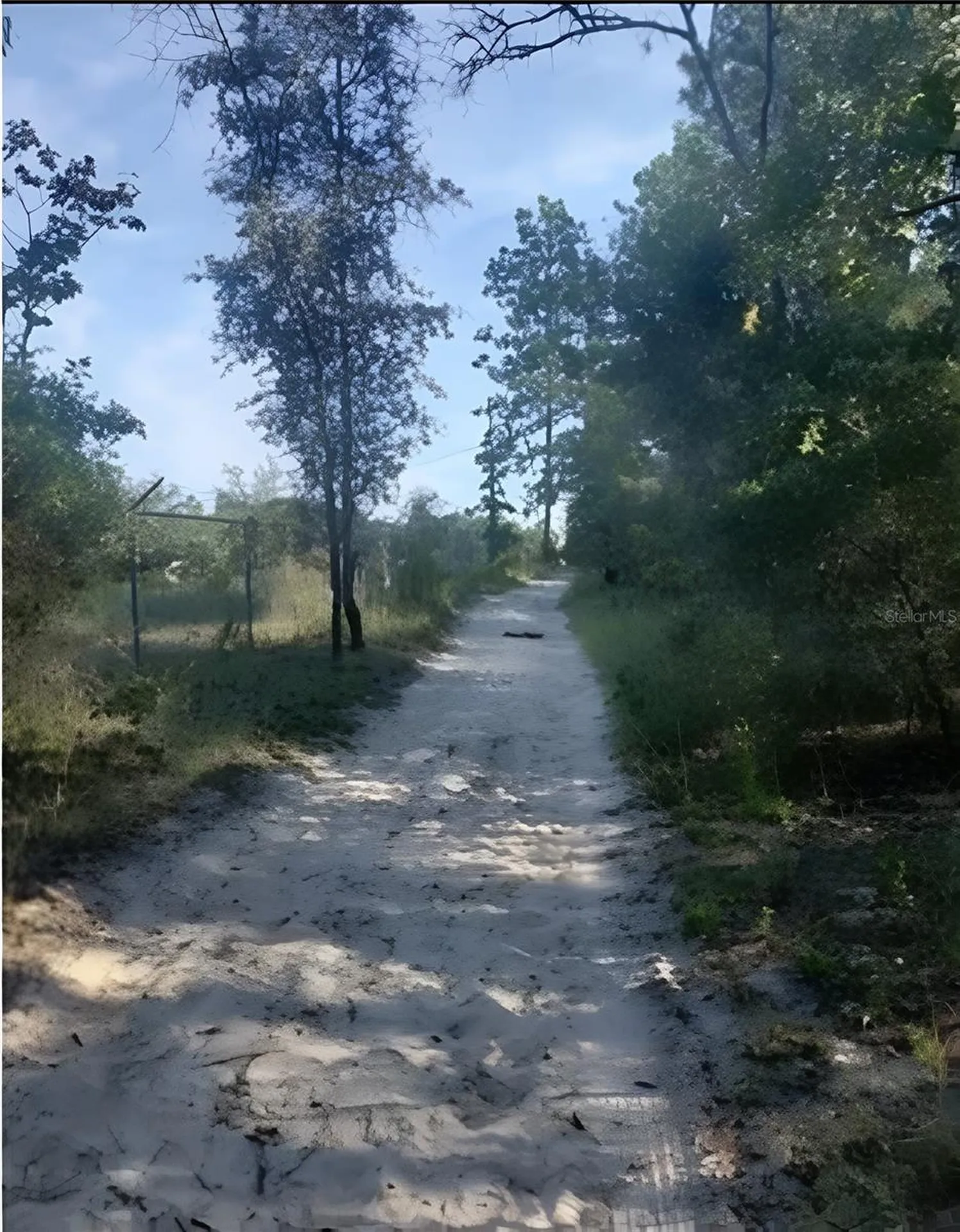 SE 60 Street Morriston FL 32668