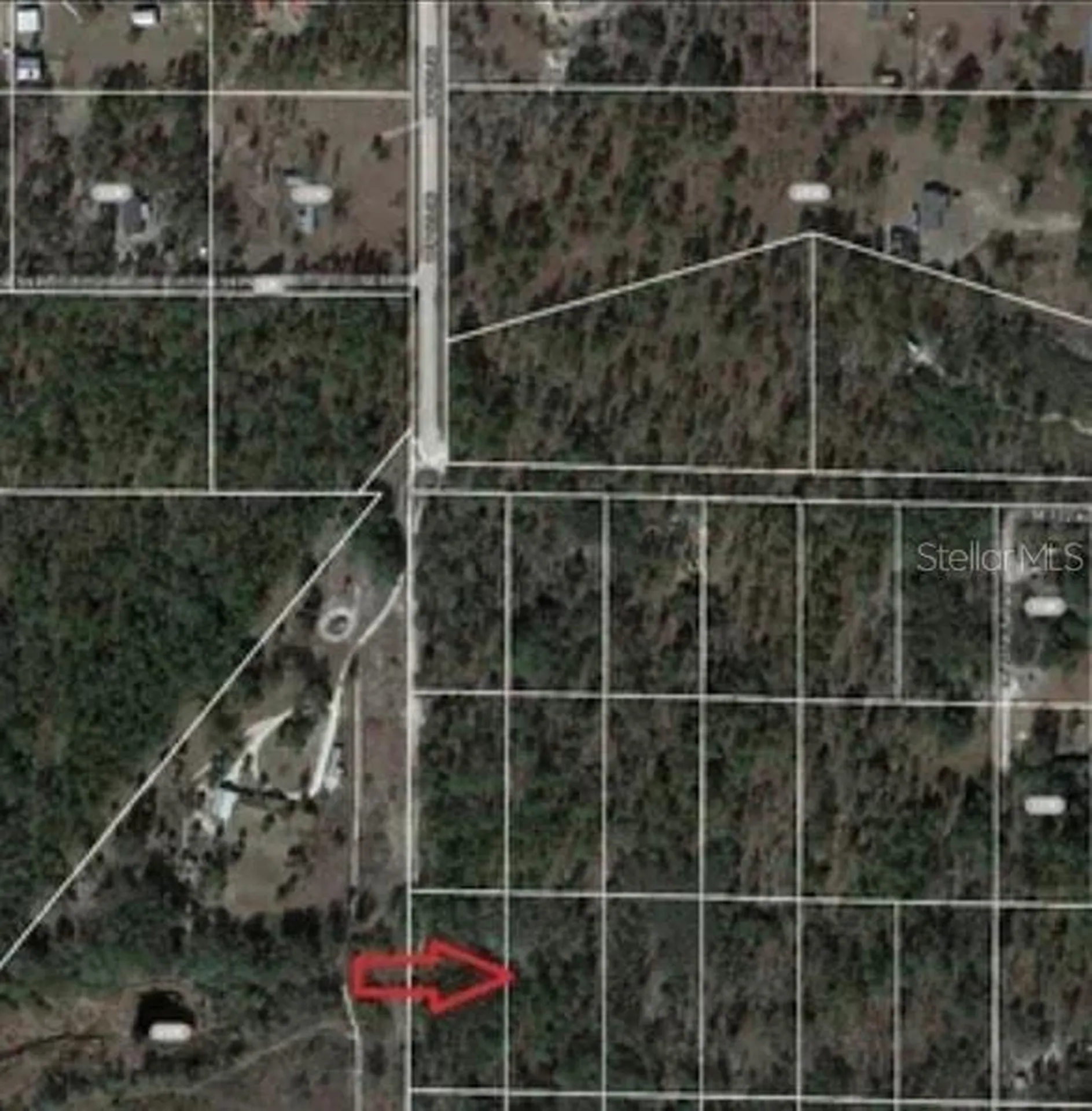 SE 60 Street Morriston FL 32668