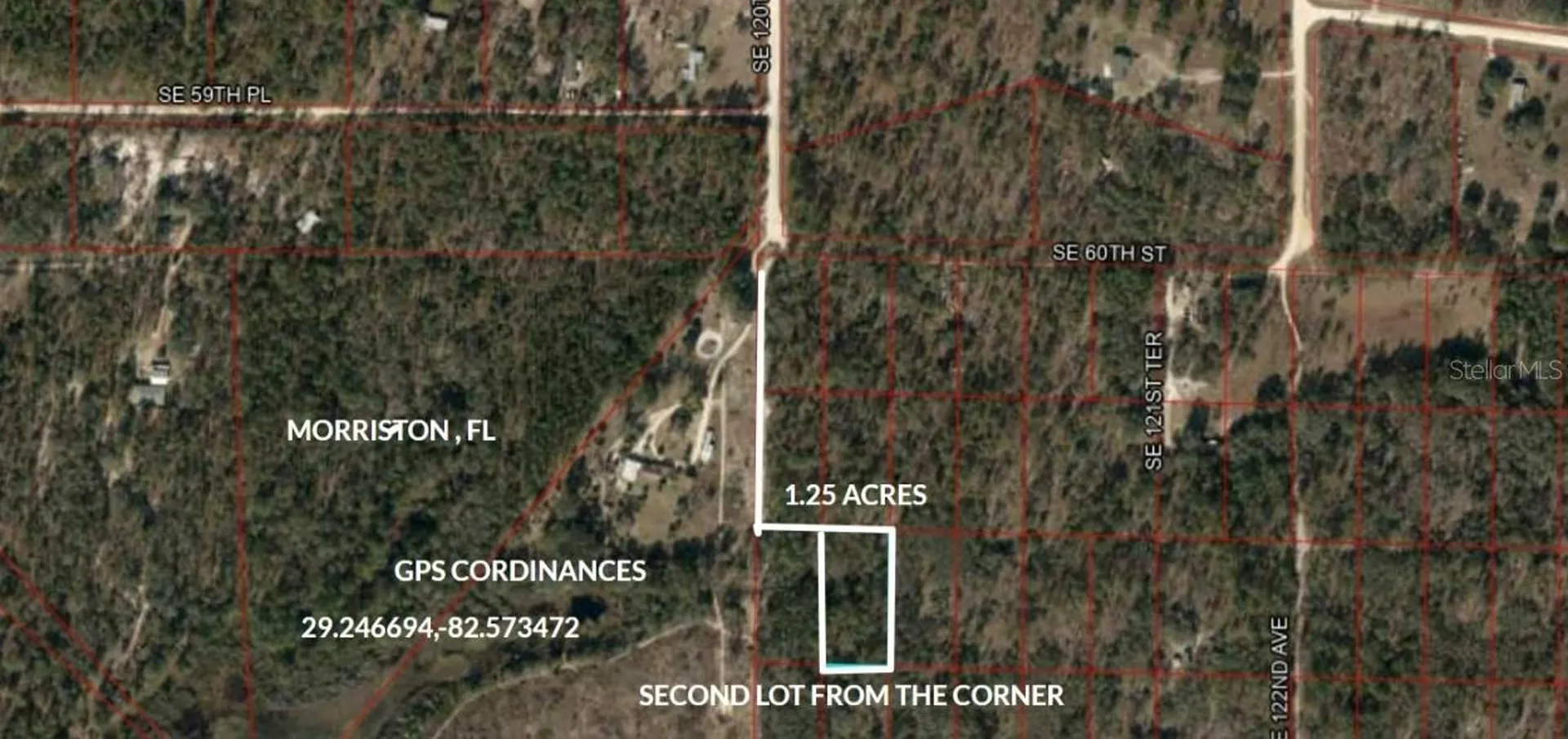 SE 60 Street Morriston FL 32668