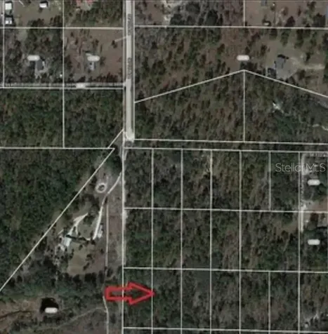 SE 60 Street Morriston FL 32668