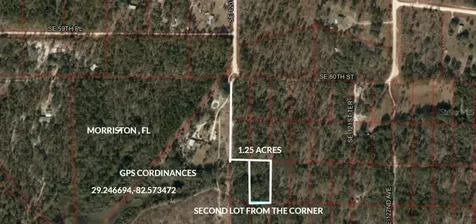 SE 60 Street Morriston FL 32668