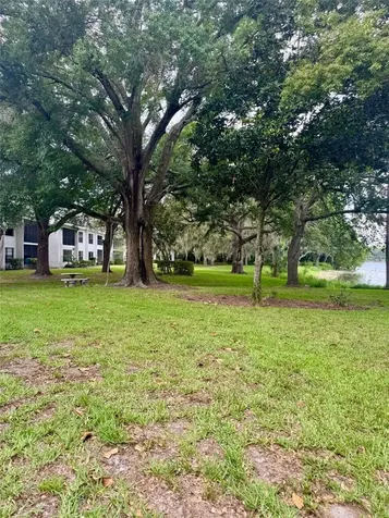 4747 Puritan Circle Tampa FL 33617