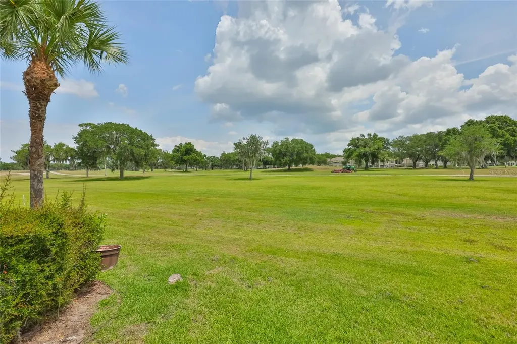 1907 Sterling Glen Court Sun City Center FL 33573