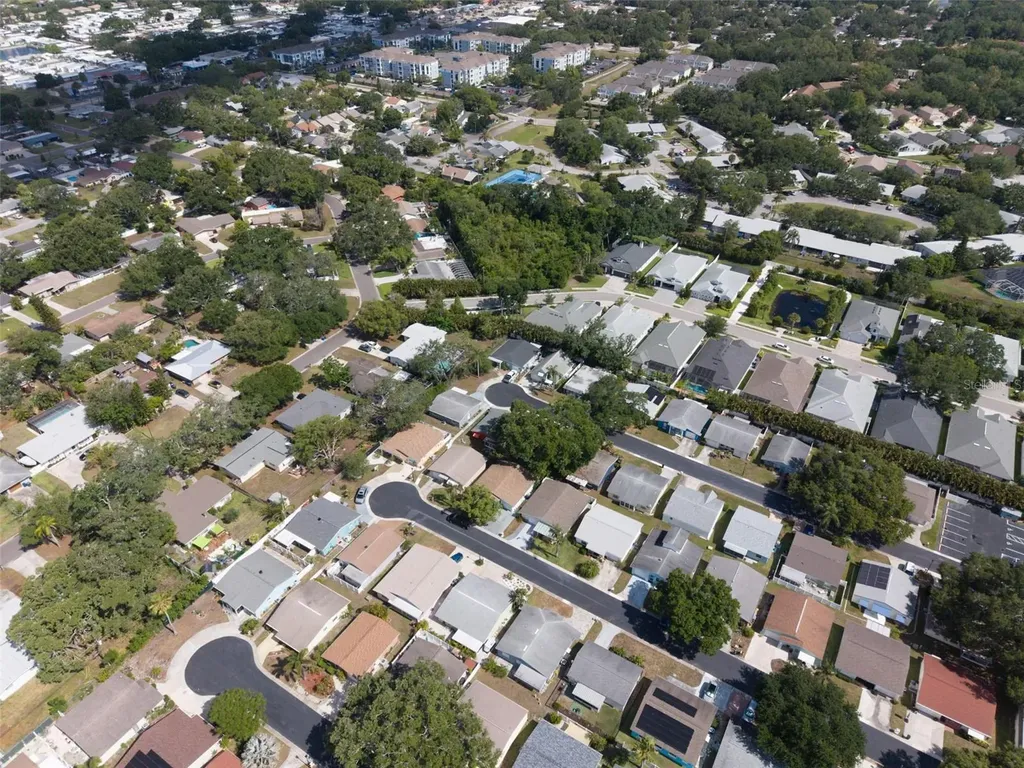 1009 Crane Court Dunedin FL 34698