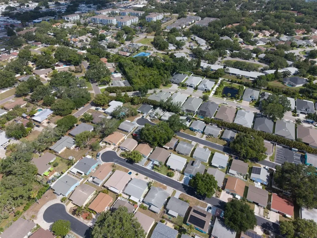 1009 Crane Court Dunedin FL 34698