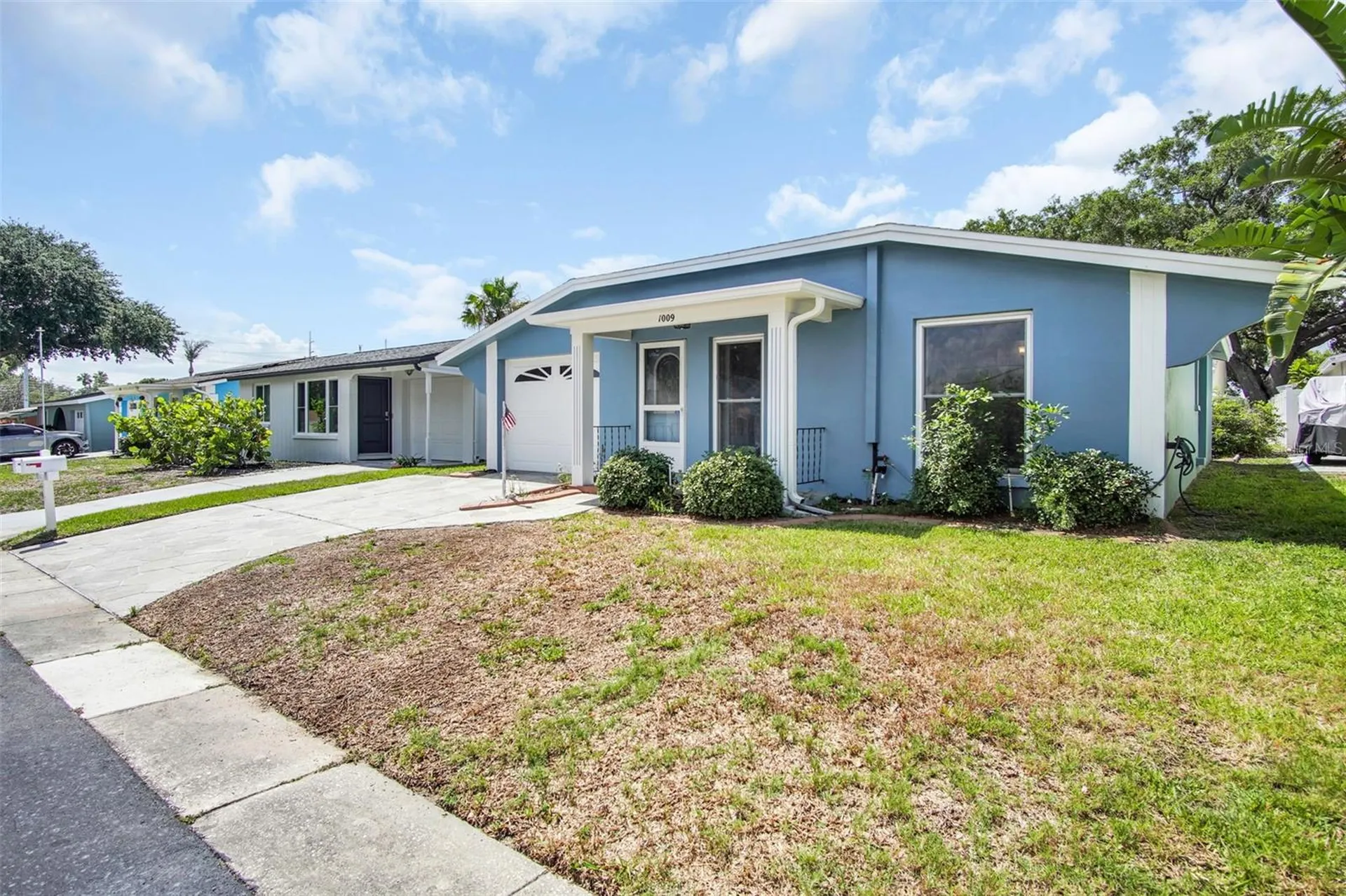 1009 Crane Court Dunedin FL 34698