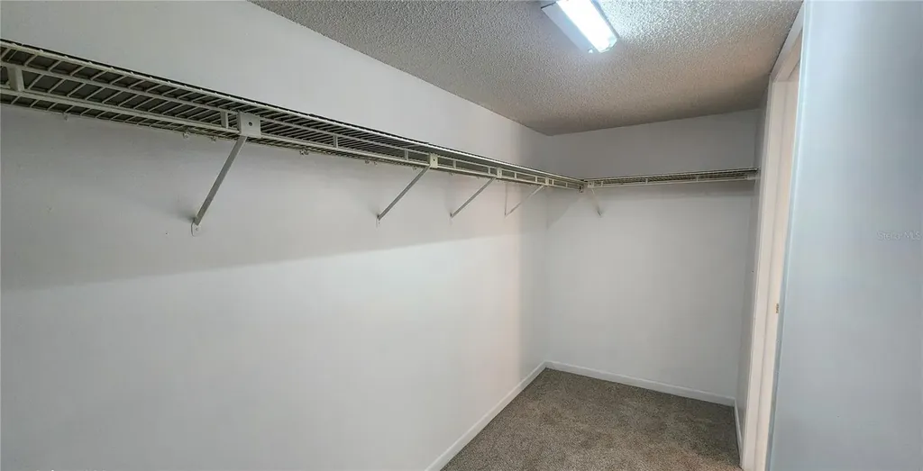 1485 Halsey Drive Dunedin FL 34698